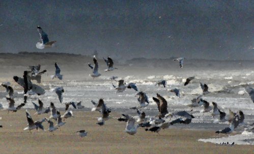 Ascending in Uncertain Air