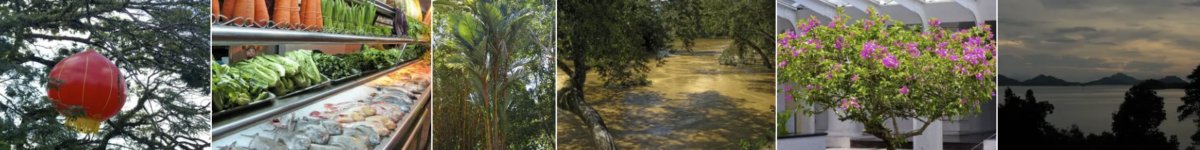 Lake Constance panorama